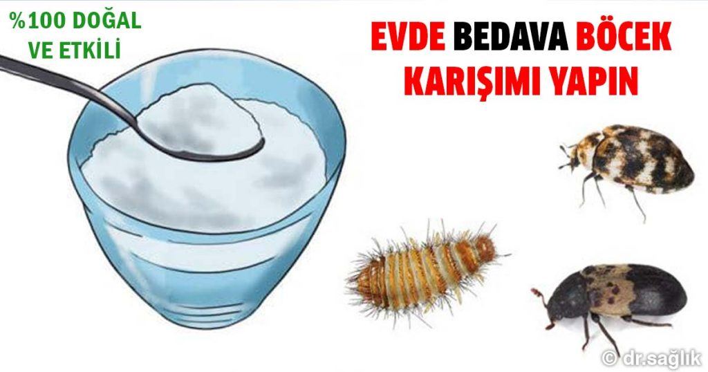 Bu Doğal Karışım Sizi Böceklerden Kurtarıyor Sağlık Paylaşımları