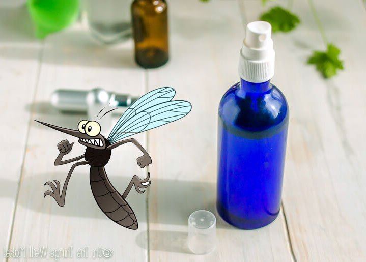 Sivrisineklerin Size Yaklaşamayacağı Yöntemler Sağlık Paylaşımları
