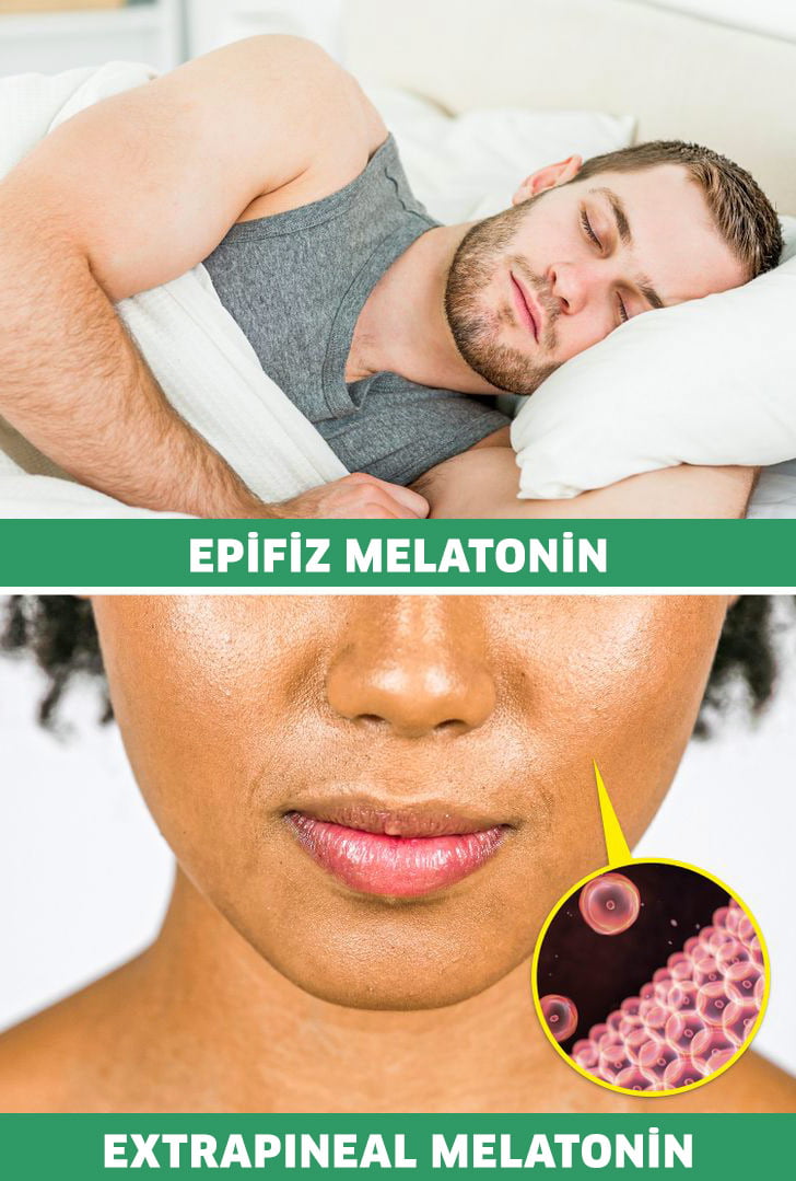 melatonin çeşitleri