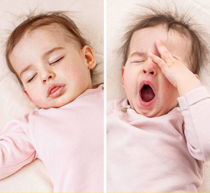 uyku epifiz melatonin